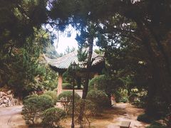 -叶家花园