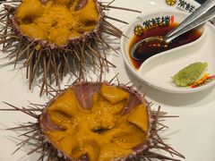 黄金胆-常鲜楼常来尝鲜海胆馆(星海店)