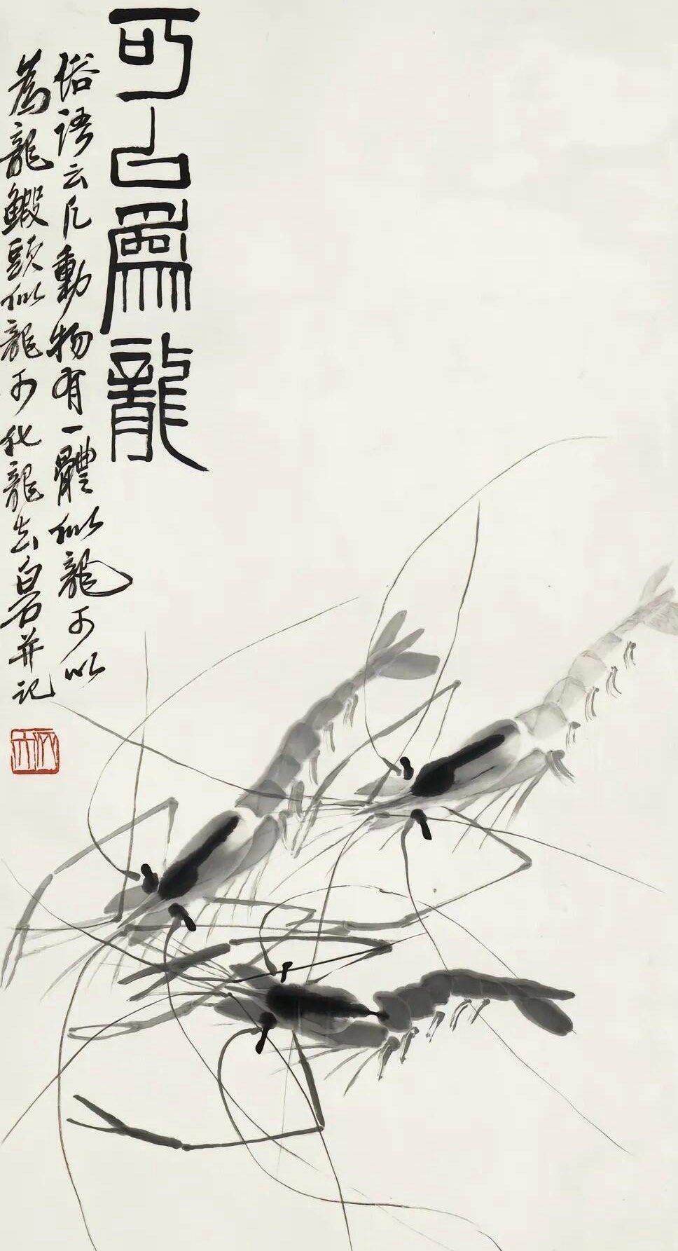 齐白石|《墨虾图》 系列鉴赏036996