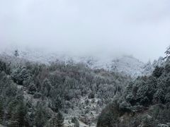 -硗碛藏寨·神木垒景区