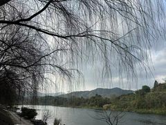 -凤凰山斑鱼馆(恭城店)