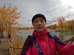 -金塔沙漠胡杨林景区