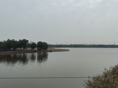 -西青郊野公园
