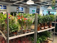 -宜家家居(四元桥商场店)