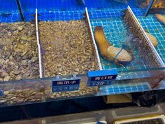 -启东小海鲜(庄先湾路1号店)