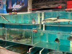 -渔意坊·千层无骨鱼粥底火锅·20年顺德菜(普君店)