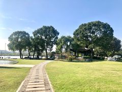 -同里湖度假村(二期店)
