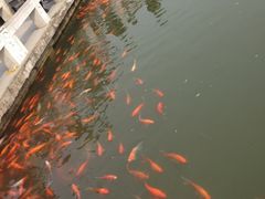 iphone_upload_pic-定园