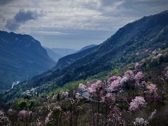-九皇山景区