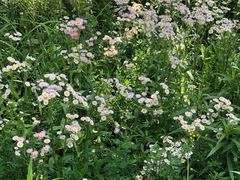 -北仑森林植物园