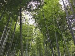内景-天下银坑