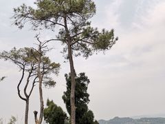 -金堂县云顶石城风景区