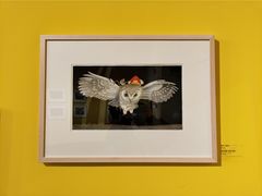 -清华大学艺术博物馆