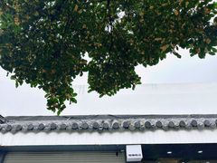 -麻雀咖啡SPARROW COFFEE(十全街店)