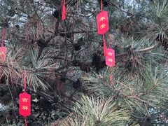 -大明幻境第一城