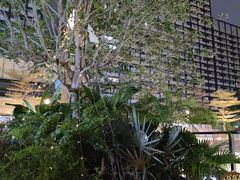 -LE MISSMORE餐酒吧(茉念西里店)