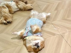 -观音桥步行街