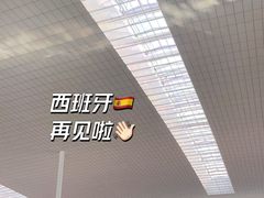 -巴塞罗那约瑟·塔拉德利亚斯-埃尔·普拉特机场