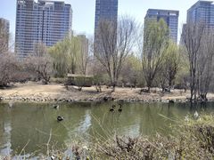 -长白岛森林公园