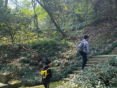 -杭州黄龙洞
