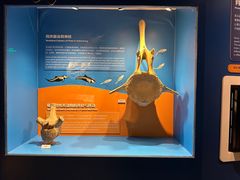 -正佳自然科学博物馆