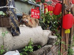 -黄埔古港