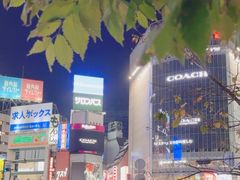 -涩谷全向十字路口