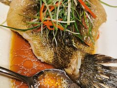 -红城阁·上海味道(四平路店)