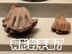 -辽宁省博物馆