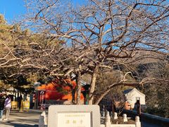 -潭柘寺景区