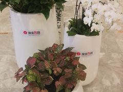 -杭州西湖银泰百货