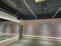 -烈火星辰体育舞蹈