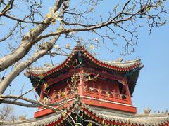 -西海子公园