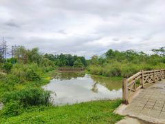 -桤木河湿地公园