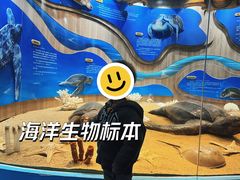 -广东惠东海龟国家级自然保护区