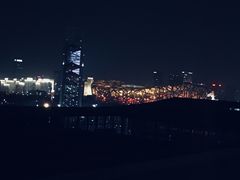 -国家会议中心大酒店