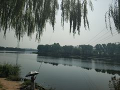 -亲兄弟真人CS团建拓展基地