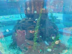 -鸿通城购物中心