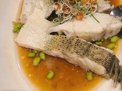 清蒸鲈鱼块-道道鲜·崇明私房菜(五角场店)