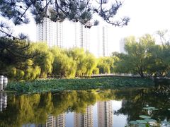 -满都海公园