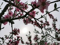 -大兴滨河森林公园