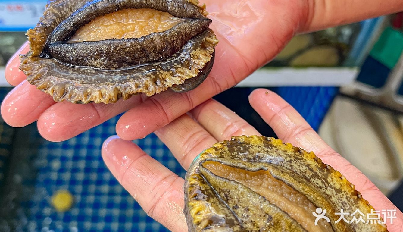 三亚旅游，强烈推荐这家❗