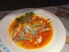 -坛宗剁椒鱼头(河西王府井店)