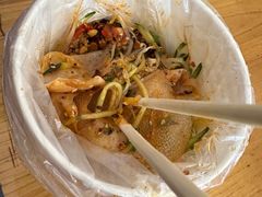 -邓氏大薄片