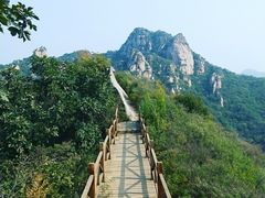 -大岭沟猕猴桃谷风景区