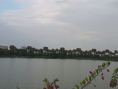-美的鹭湖森林度假区