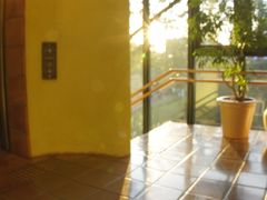 -三鹰之森吉卜力美术馆