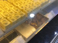 -上海哈尔滨食品厂(淮海中路店)