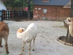 -竹泉村旅游度假区