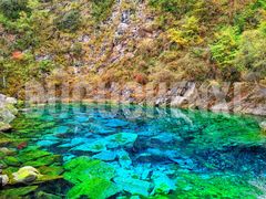 -叠溪松坪沟景区